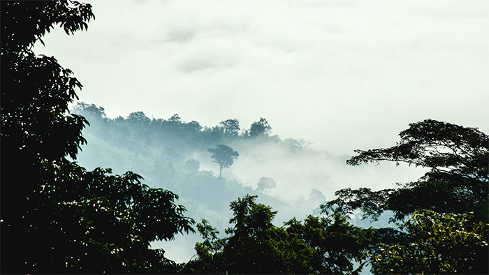 মাঘের সন্ন্যাসী