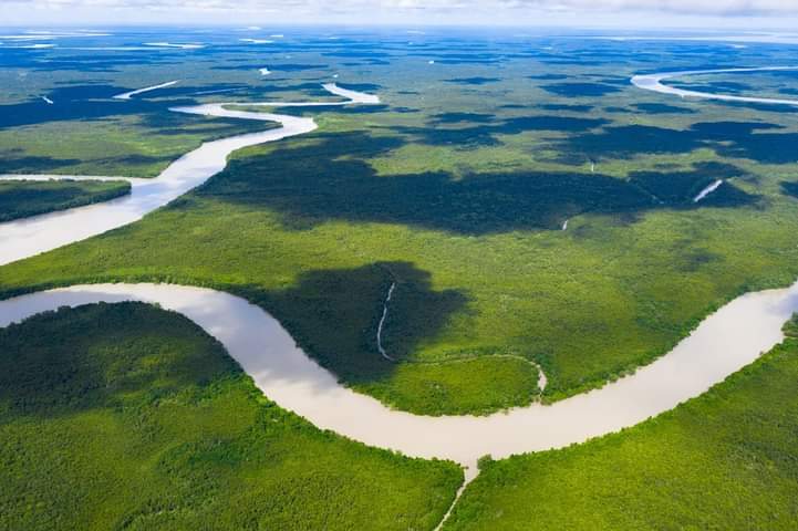 পাখির চোখে সুন্দরবন