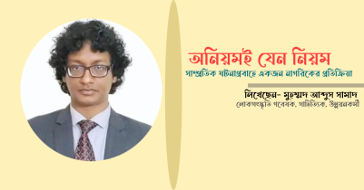 সাম্প্রতিক ঘটনাপ্রবাহে একজন নাগরিকের প্রতিক্রিয়া