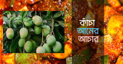 ঝড়-বাদলের দিনে তৈরি করে রাখুন কাঁচা আমের আচার