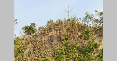 এবার বড়লেখার বোবারথল বনে আগুন