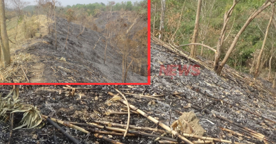 বড়লেখায় সংরক্ষিত বনে আগুন : যা বলছে তদন্ত কমিটি