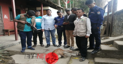 লাউয়াছড়ায় ট্রেন থামিয়ে হরিণ জবাই, ব্যবস্থা নিতে নির্দেশ আদলতের 
