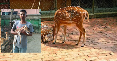 A new guest was born in the Wildlife Service Foundation