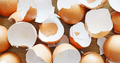 5 useful ways to reuse eggshells in the kitchen