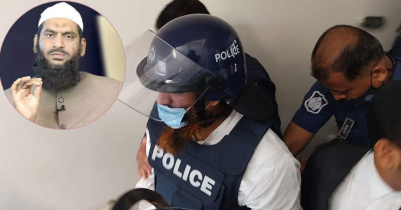 ﻿High Court grants bail to Mamunul Haque
