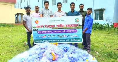 Illegal current nets seized by UNO in Juri