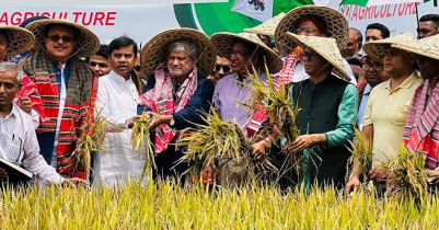 3 Ministers attended Boro paddy harvesting festival in Sunamganj