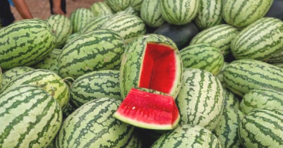 5 things to keep in mind before buying watermelon
