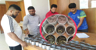 Second tea auction of Sreemangal season : 50% sold