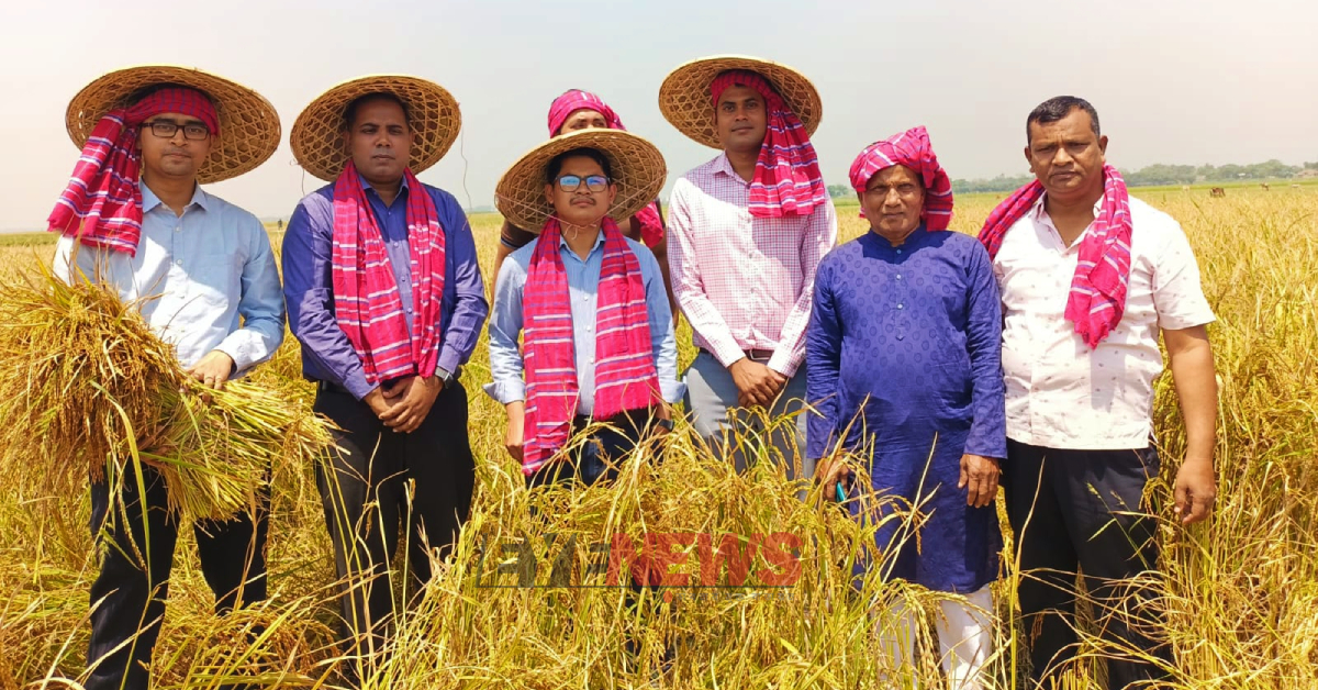 ধান কাটা উৎসবে উপস্থিত ছিলেন তাহিরপুর উপজেলা নির্বাহী কর্মকর্তা (ইউএনও) সুপ্রভাত চাকমা। ছবি- আই নিউজ