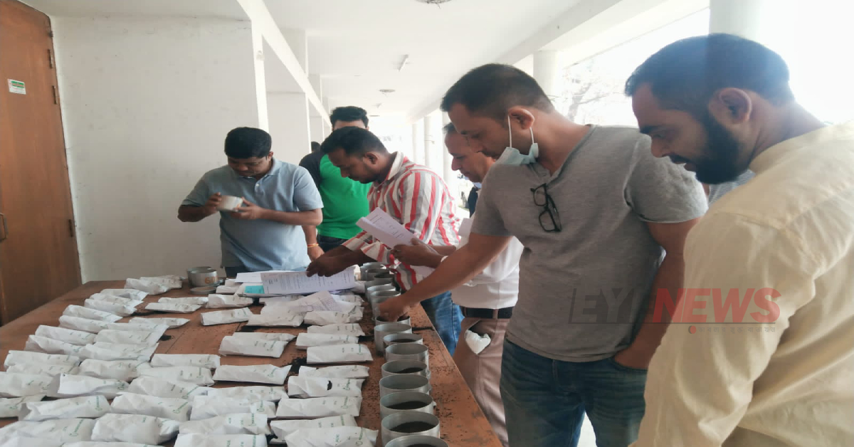 নিলামে ঘুরে ঘুরে বিভিন্ন ধরনের চায়ের পাতা দেখছেন ব্রোকাররা। ছবি- আই নিউজ