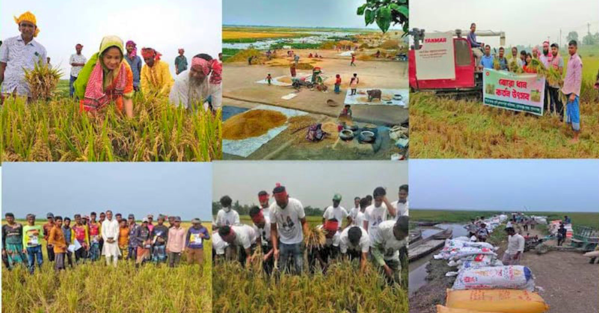 সুনামগঞ্জের হাওরে ধান কাটার দৃশ্য। ছবি- বাসস সুনামগঞ্জের হাওরে ধান কাটার দৃশ্য। ছবি- বাসস