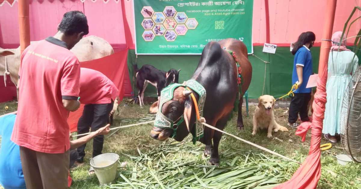 ছবি- আই নিউজ