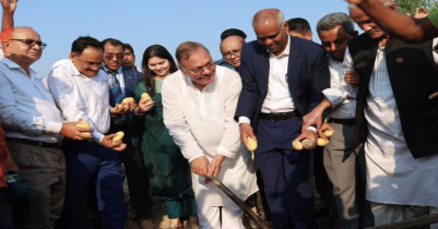 নতুন উচ্চফলনশীল জাতের আলু চাষের আহ্বান কৃষিমন্ত্রীর 