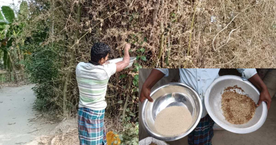 ফুলবাড়ীতে বাঁশের চাল তৈরি করে আলোচনায় সঞ্জু রায়