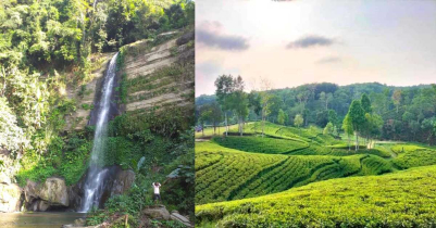 ঈদের ছুটিতে পর্যটকদের জন্য প্রস্তুত পর্যটন জেলা মৌলভীবাজার ঈদের ছুটিতে পর্যটকদের জন্য প্রস্তুত পর্যটন জেলা মৌলভীবাজার