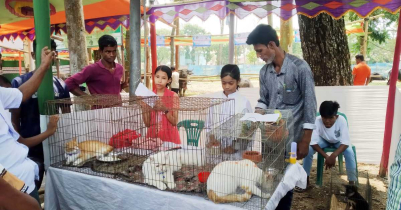 কমলগঞ্জে প্রাণিসম্পদ সেবা সপ্তাহ ও প্রদর্শনীর উদ্বোধন কমলগঞ্জে প্রাণিসম্পদ সেবা সপ্তাহ ও প্রদর্শনীর উদ্বোধন