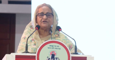 ফিলিস্তিনের ব্যাপারে বিশ্বমানবতা কোথায়? প্রশ্ন প্রধানমন্ত্রীর  