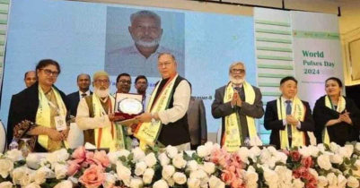 দেশে ডালের উৎপাদন বেড়েছে ৪ গুণ: কৃষিমন্ত্রী দেশে ডালের উৎপাদন বেড়েছে ৪ গুণ: কৃষিমন্ত্রী