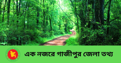 এক নজরে গাজীপুর জেলার তথ্য