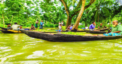 এক নজরে ঝালকাঠি জেলা