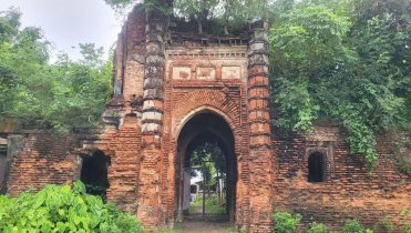 এক নজরে মাগুরা জেলা