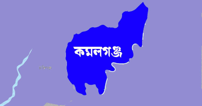 অনৈতিক সম্পর্কের ছবি দেখিয়ে টাকা আদায়ের অভিযোগে যুবক আটক