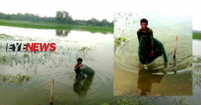 চায়না জালের দখলে খাল-বিল, হারিয়ে যাচ্ছে দেশি প্রজাতির মাছ