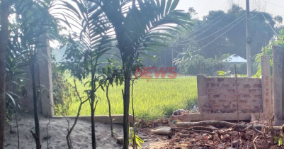 কুলাউড়ায় জমি নিয়ে বিরোধের জের ধরে শ্লী*লতাহানির অভিযোগ