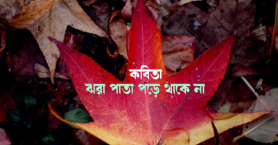 কবিতা: ঝরাপাতা পড়ে থাকে না