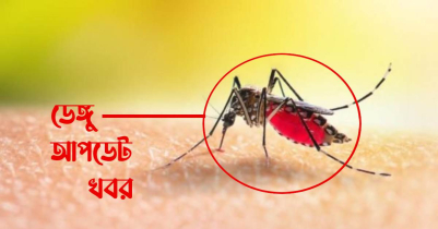 ডেঙ্গুতে প্রাণ গেল আরো ১৭ জনের 