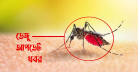 ডেঙ্গুতে প্রাণ গেল আরো ১৭ জনের 