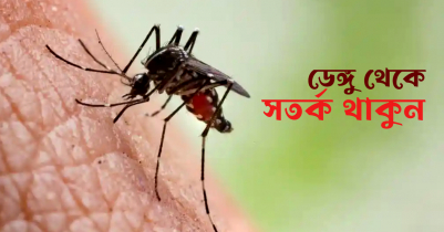 যশোরে ডেঙ্গু কেড়ে নিল ২ জনের প্রাণ