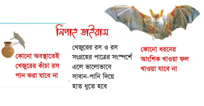 জরুরী স্বাস্থ্য বার্তা: নিপাহ ভাইরাসে দেশে মৃ ত্যু ১৪ জরুরী স্বাস্থ্য বার্তা: নিপাহ ভাইরাসে দেশে মৃ ত্যু ১৪