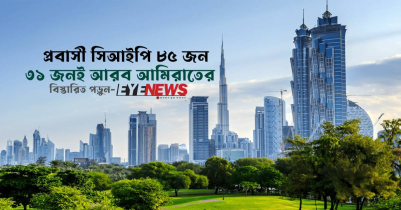 প্রবাসী ৮৫ সিআইপির ৩১ জনই আরব আমিরাতের