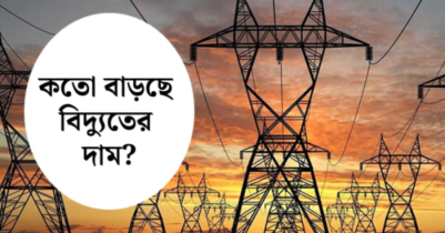 বেড়ে গেল বিদ্যুতের দাম বেড়ে গেল বিদ্যুতের দাম