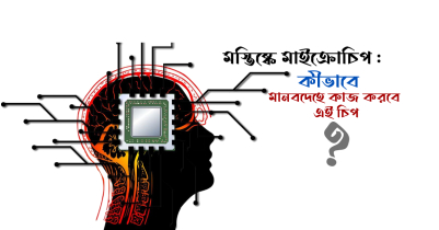 মস্তিষ্কে মাইক্রোচিপ : কীভাবে মানবদেহে কাজ করবে এই চিপ ?