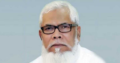 নির্বাচন নিয়ে মার্কিন প্রতিনিধিরা কোনো মন্তব্য করেননি: সালমান এফ