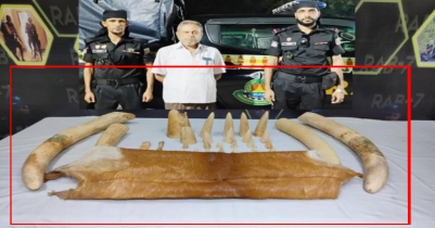 চট্টগ্রামে ১৪ কেজি হাতির দাঁতসহ আটক কমলগঞ্জের মালেক 