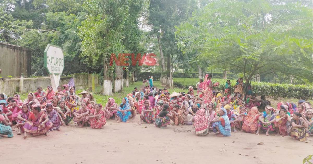 বাগানে কাজ বাদ দিয়ে কর্মবিরতিতে যোগ দিয়েছেন সকল নারী চা শ্রমিকরা। ছবি- আই নিউজ বাগানে কাজ বাদ দিয়ে কর্মবিরতিতে যোগ দিয়েছেন সকল নারী চা শ্রমিকরা। ছবি- আই নিউজ