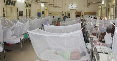 Dengue suddenly increasing in Sylhet!