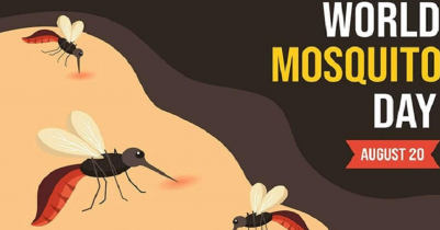 Today World Mosquito Day