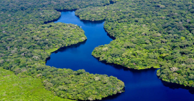 Some amazing facts about Amazon river