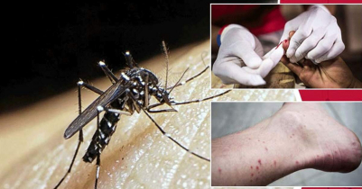 Sunamganj and Habiganj are still dengue-free