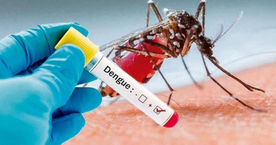 Dengue death toll climbs to 671