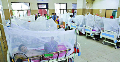 13 dengue patients die; 2291 hospitalized in 24 hours