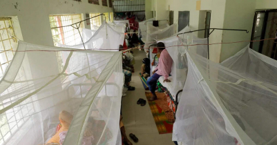 Dengue death toll crosses 700 with 15 more d e a t h s in a day