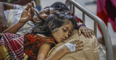 Dengue: 12 die, 2,823 hospitalised in 24 hours