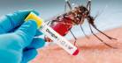 10 dengue patients d i e, 2748 hospitalised in a day